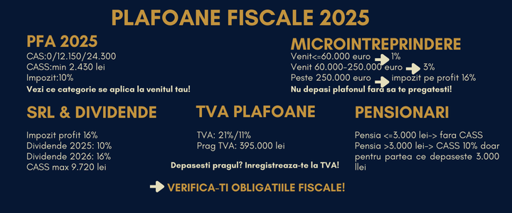 Plafoanele fiscale 2025: Ce trebuie să știe antreprenorii ca să nu piardă bani